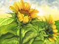 11.Angie-Here-Comes-the-Sun-Herrmann-Angie-copy-2