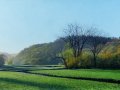 24.-1.fred-wexford-Autumn-copy-3