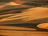 Harvest Time in the Palouse Region of Washinton