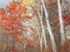 10-gloe-fall-walk120202