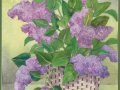 6-Lilacs-Gloe-Mary-Ann-22