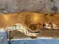 IMG_2378-coffee-table